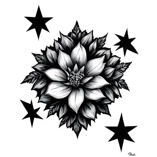 Plant And Star Designs