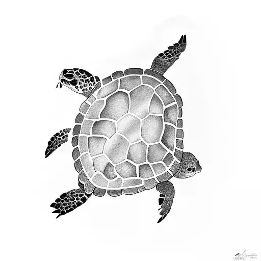 Turtle
