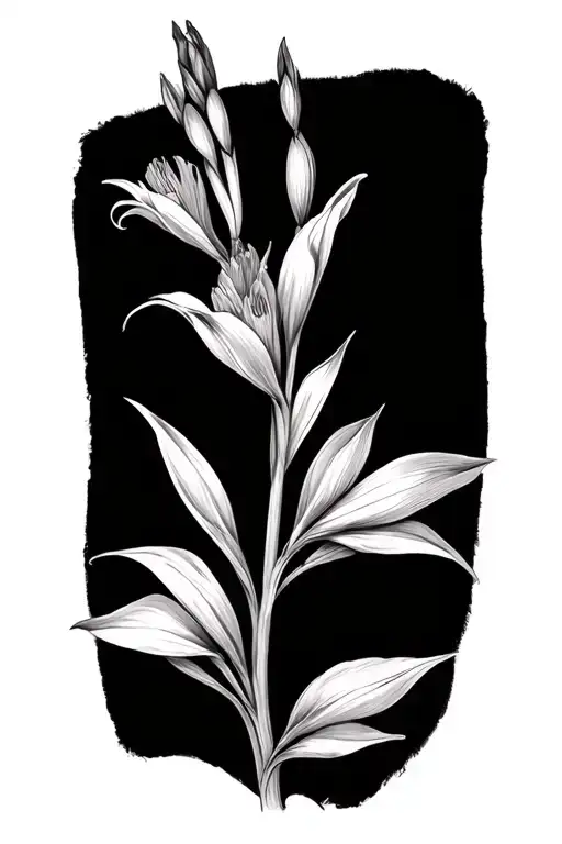 Mandala Gladiolus Flower