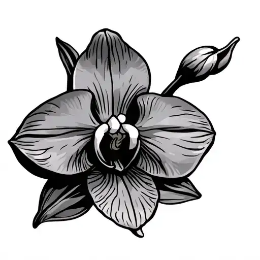 A Cartoony Orchid Flower