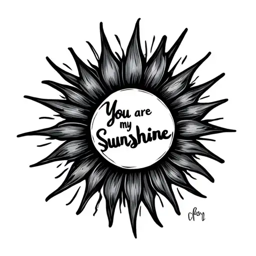 A Sun Shining Brightly With Writing In The Middle Saying You Are My Sunshine