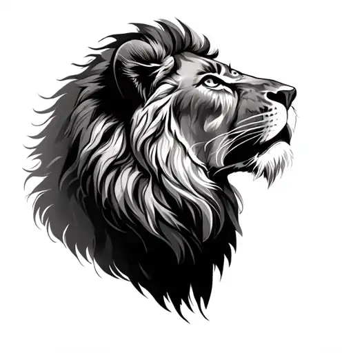 Lion With Confident Look