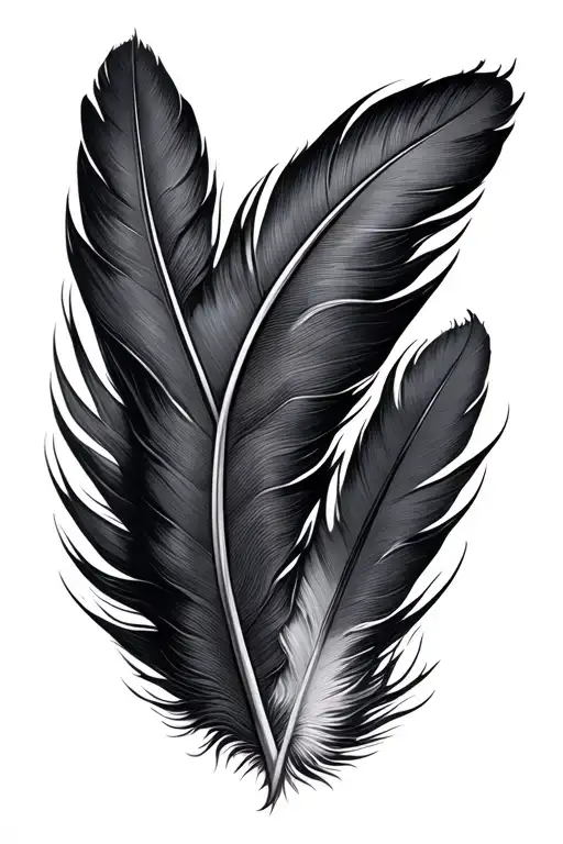 Feather Transforming