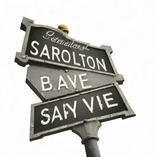 A Streetsign That Says S Carrollton Ave