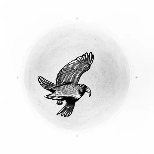 4 Raven Fly In Circle