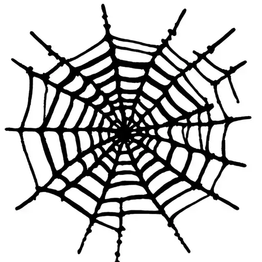 Spider Web