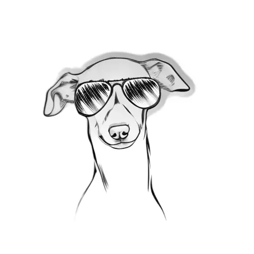 A Dog Wearing Sunglasses