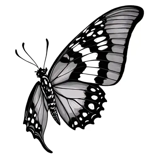 Gemini Butterfly
