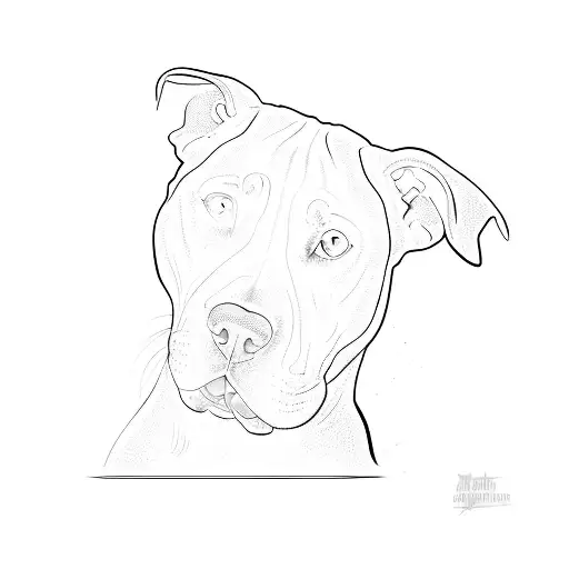A Pit Bull Terrier
