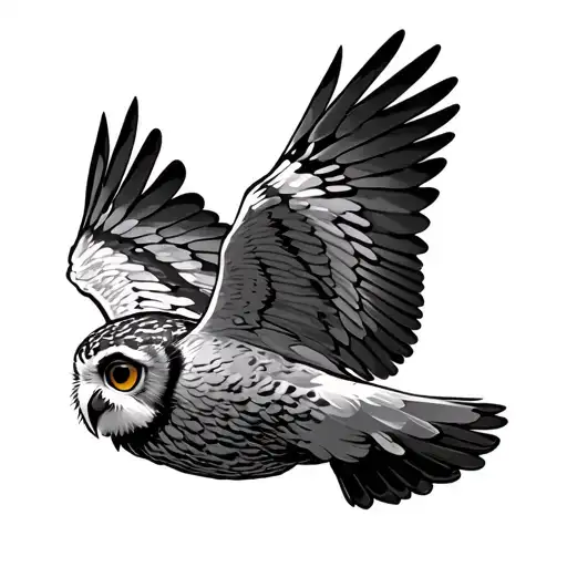 Owl Flying