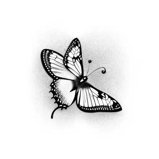Butterflies Number 22 Cancer Sign