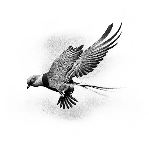 A Black And Grey Portrait Of A Racing Pigeon In Mid-flight