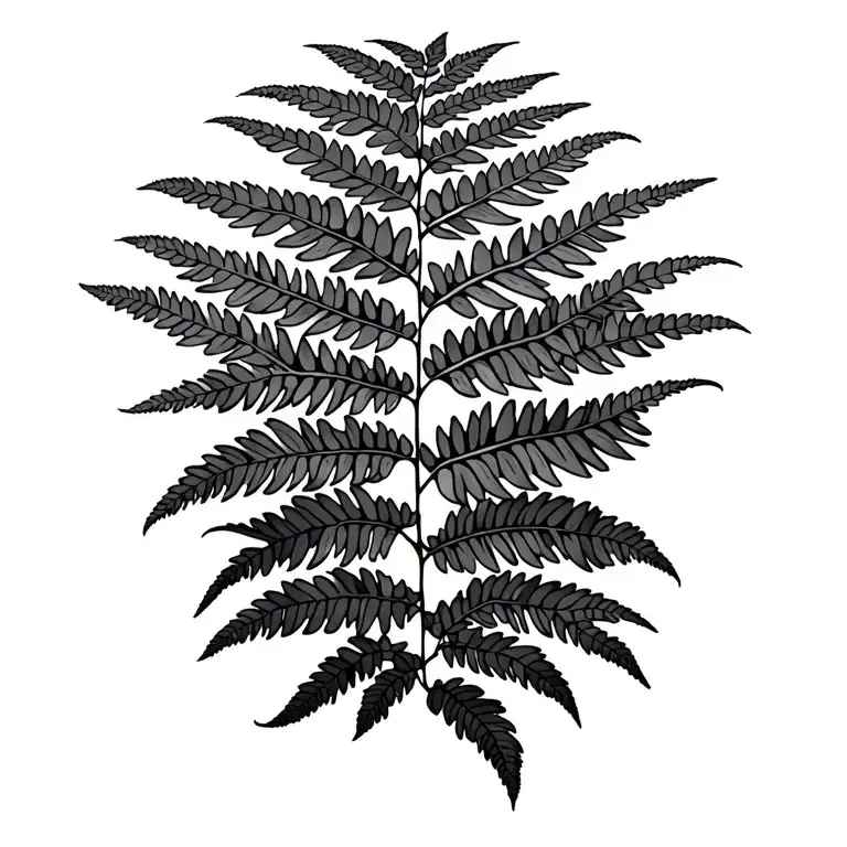 Fine Line Potted Fern Plant