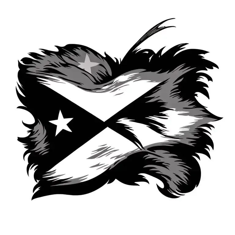 Taino Puerto Rican Flag