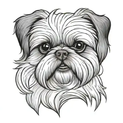 White Small Shih Tzu Dog