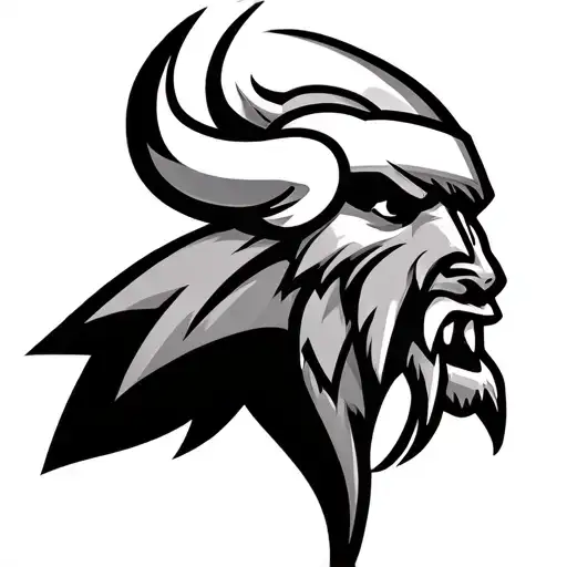 Vikings Football Skol