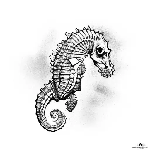 Seahorse With Skeleton