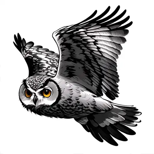 Owl Flying