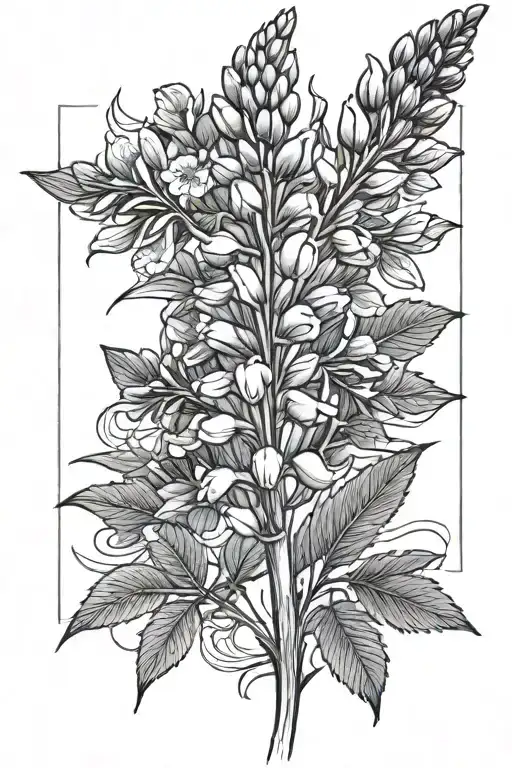 Lupine Flower With Clover Leaf At Bottom Of Stem