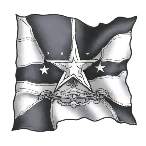 Texas State Flag