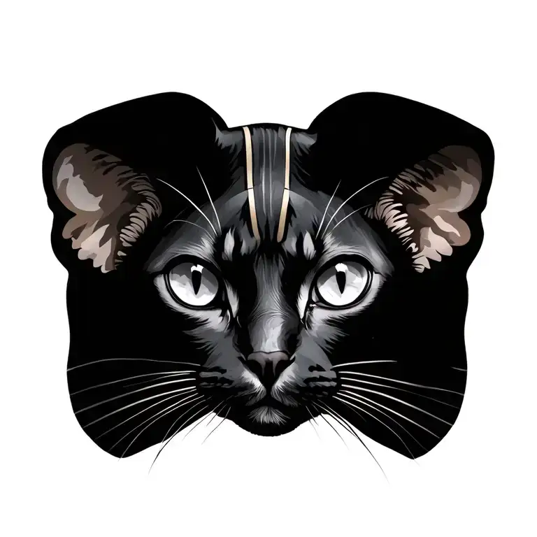 Eygyptian Sphinx Cat