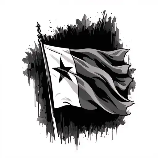 Texas Flag