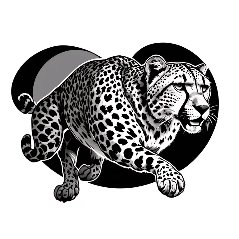 Cheetah Running