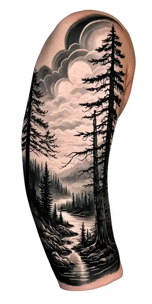 Coverup Forest Landscape