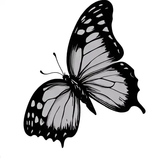 Dark Droopy Butterfly Perched