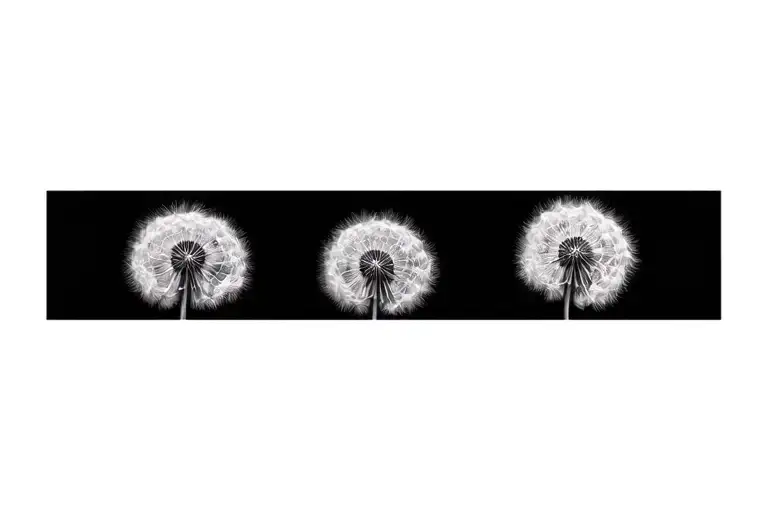 2 Fingerprints Placed Diagonally From Which Strands Of Dandelion Escape