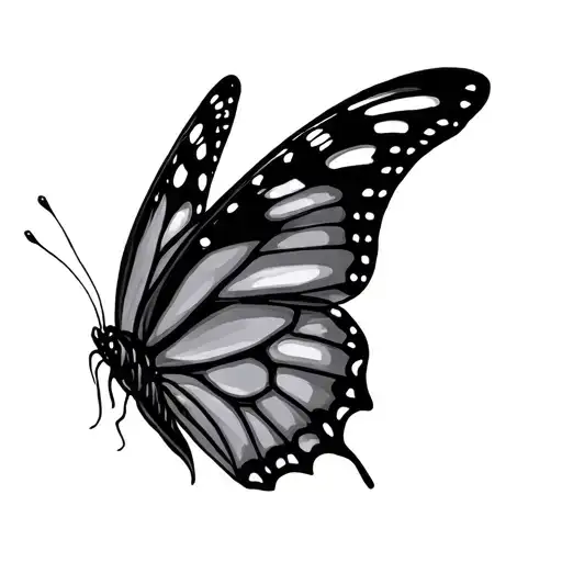 Butterfly Broken Wings