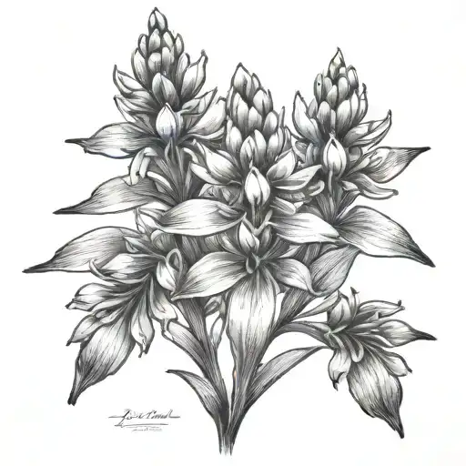 Bluebonnets Texas Themed