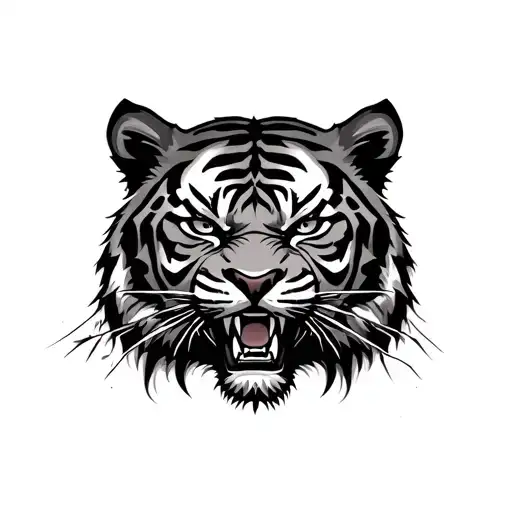 Angry Tiger Face With Scratchess