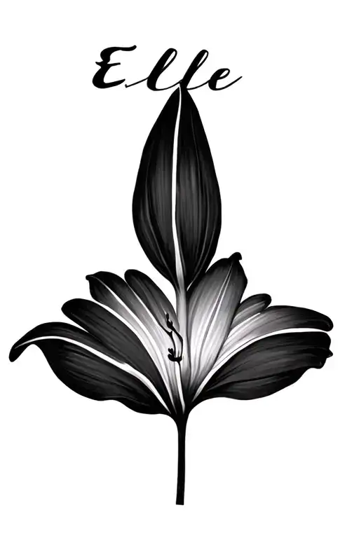 Lilly Flower With Name Elle Written In Stem Wrapped