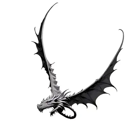 Coverup Dragon Flying