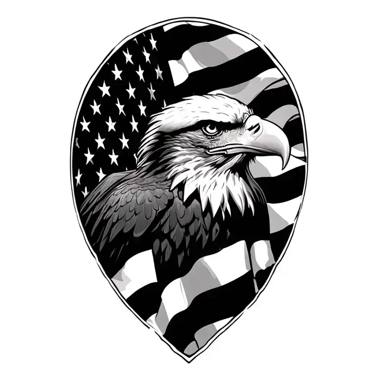 American Flag And Bald Eagle