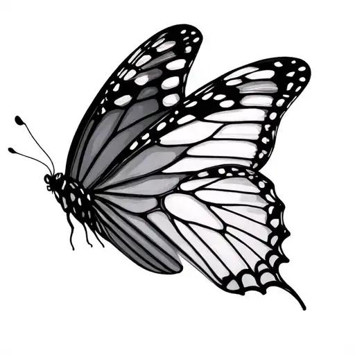 Half Glass Half Pretty Butterfly