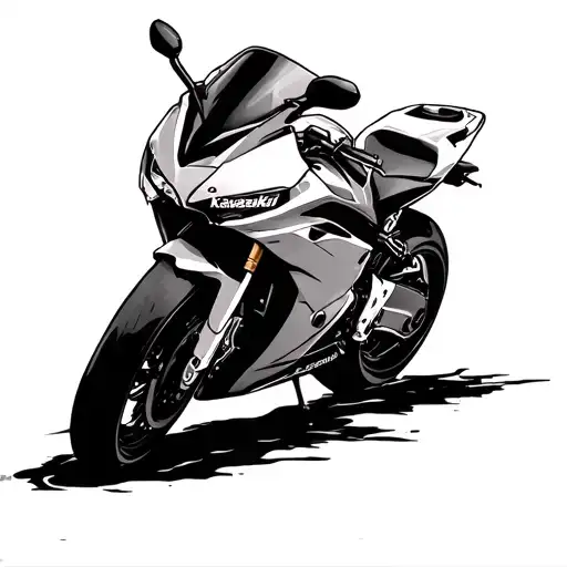 Kawasaki Ninja 500 Outdoors