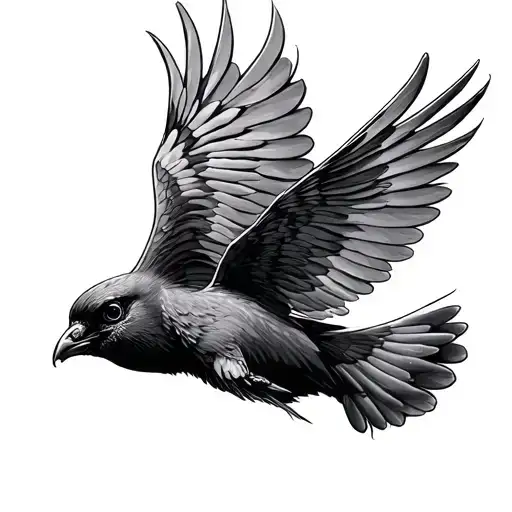 One Day A 'Gonna Fly Away At The End Of The Art