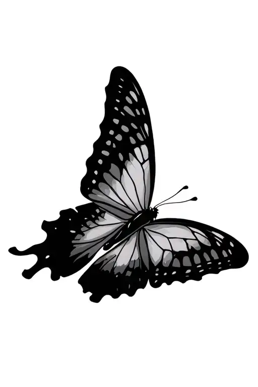 Butterfly That Takes Off