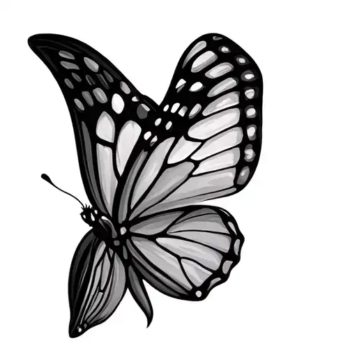 Butterfly Flying