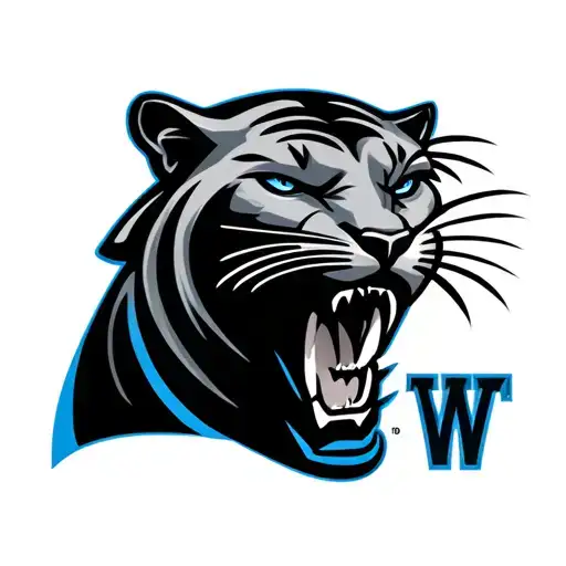 Carolina Panthers Representing