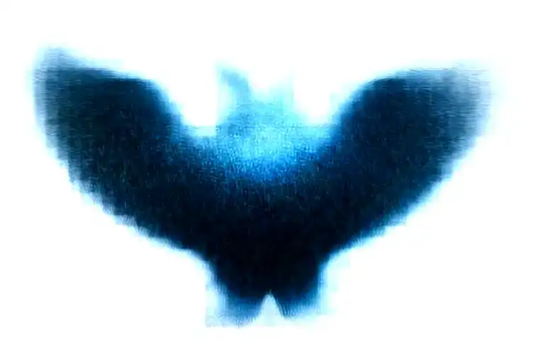 An Image Of A Single Raven That Has Two-heads On One Body With Its Wings Spread Open