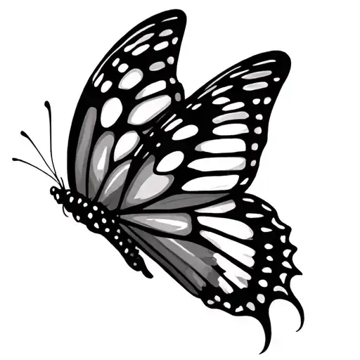 Butterfly Wings Flying