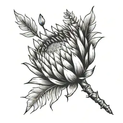 King Protea With A Birthdate