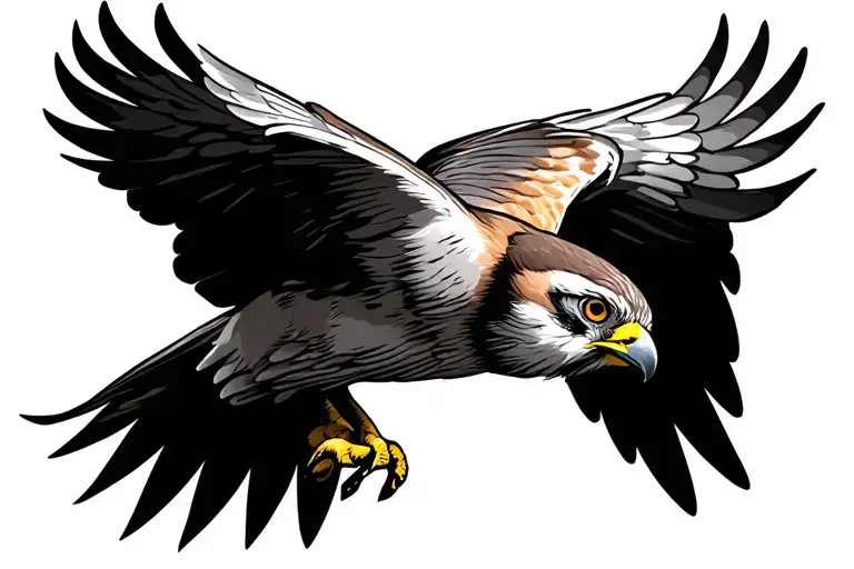 Kestrel Soaring