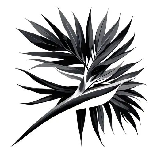 Minimalist Papua New Guinea Bird Of Paradise