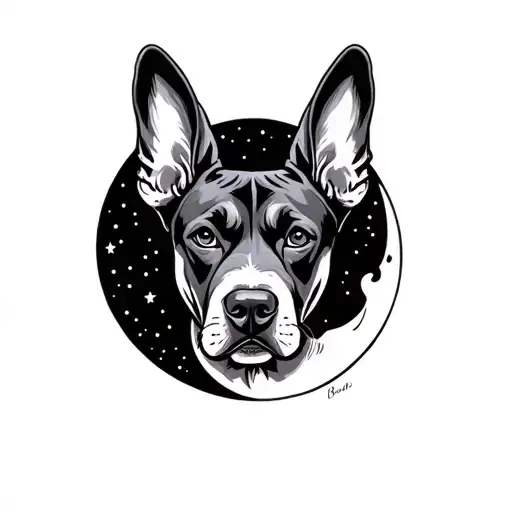 Big Dog With Big Ears On A Half Moon Rising