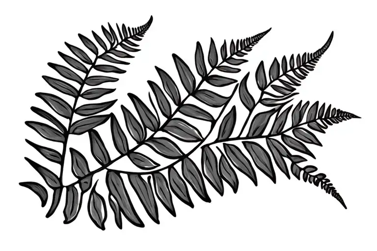 Mountain Fern Maori