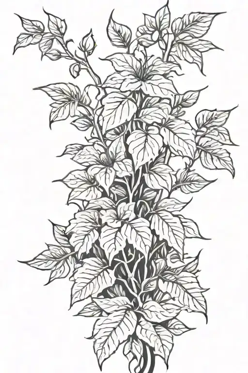 Long Climbing Plants